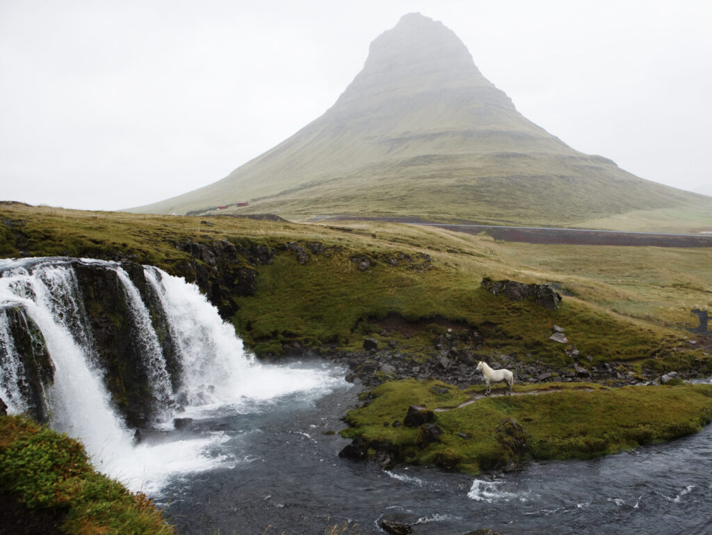 Symbol of Icelandic heritage