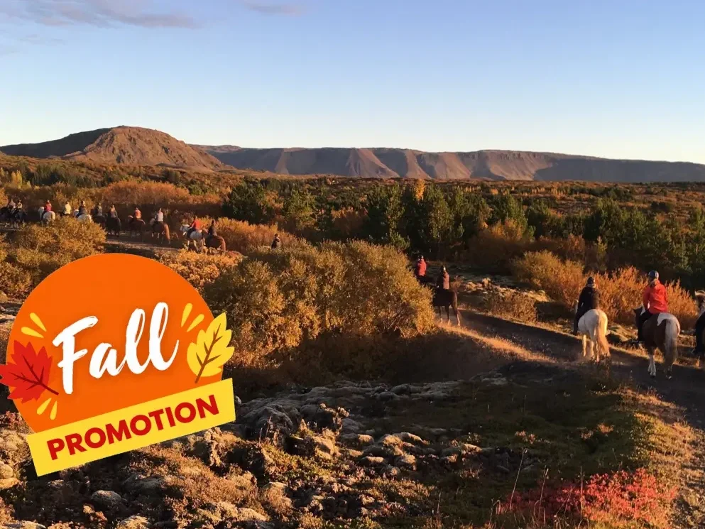 Autumn on Horseback in Iceland