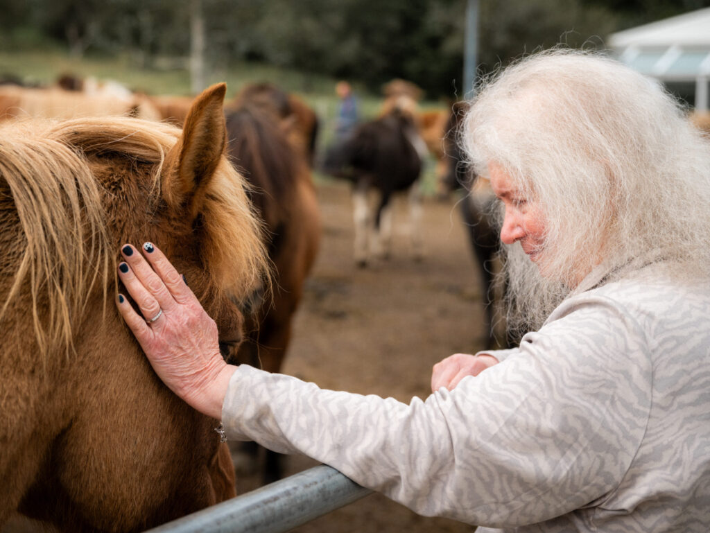 A private day of horses, volcanoes and geothermal wonders in Reykjanes Peninsula.
