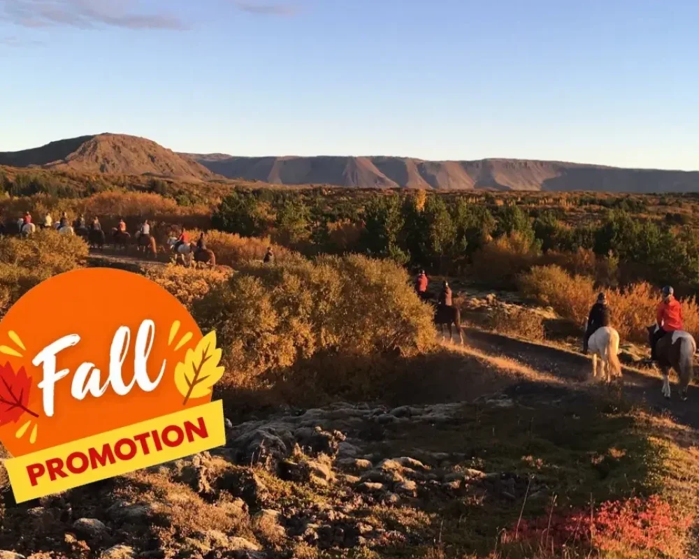 Autumn on Horseback in Iceland